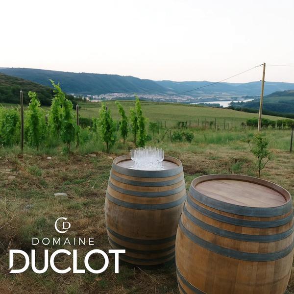 Apéro sunset dans les vignes (Domaine Duclot)_Sarras