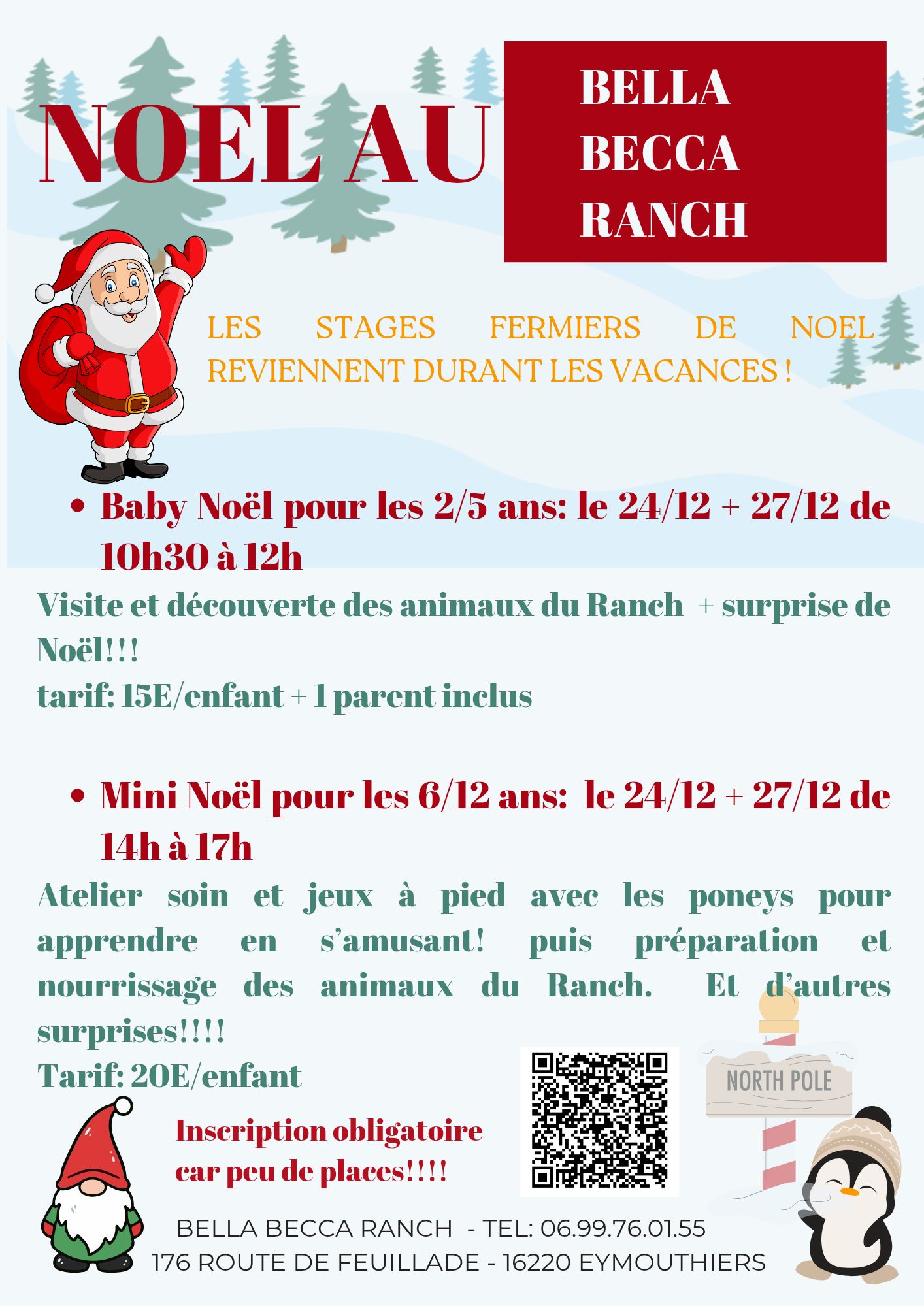 Stages fermiers de Noël au Bella Becca Ranch