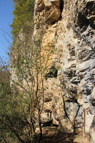 Groote de La Roche - Salavre