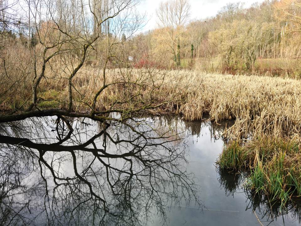 Parc de la noisette_Verriu00e8res-le-Buisson