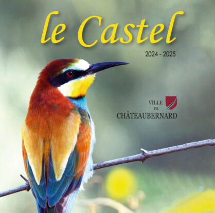 Cérémonie des voeux | Soliloques