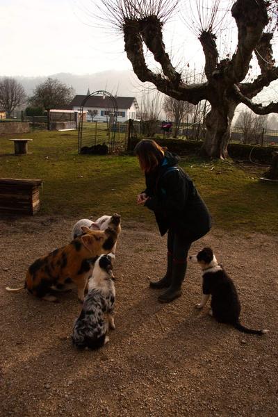 Ferme pédagogique - Les poneys de la Durme