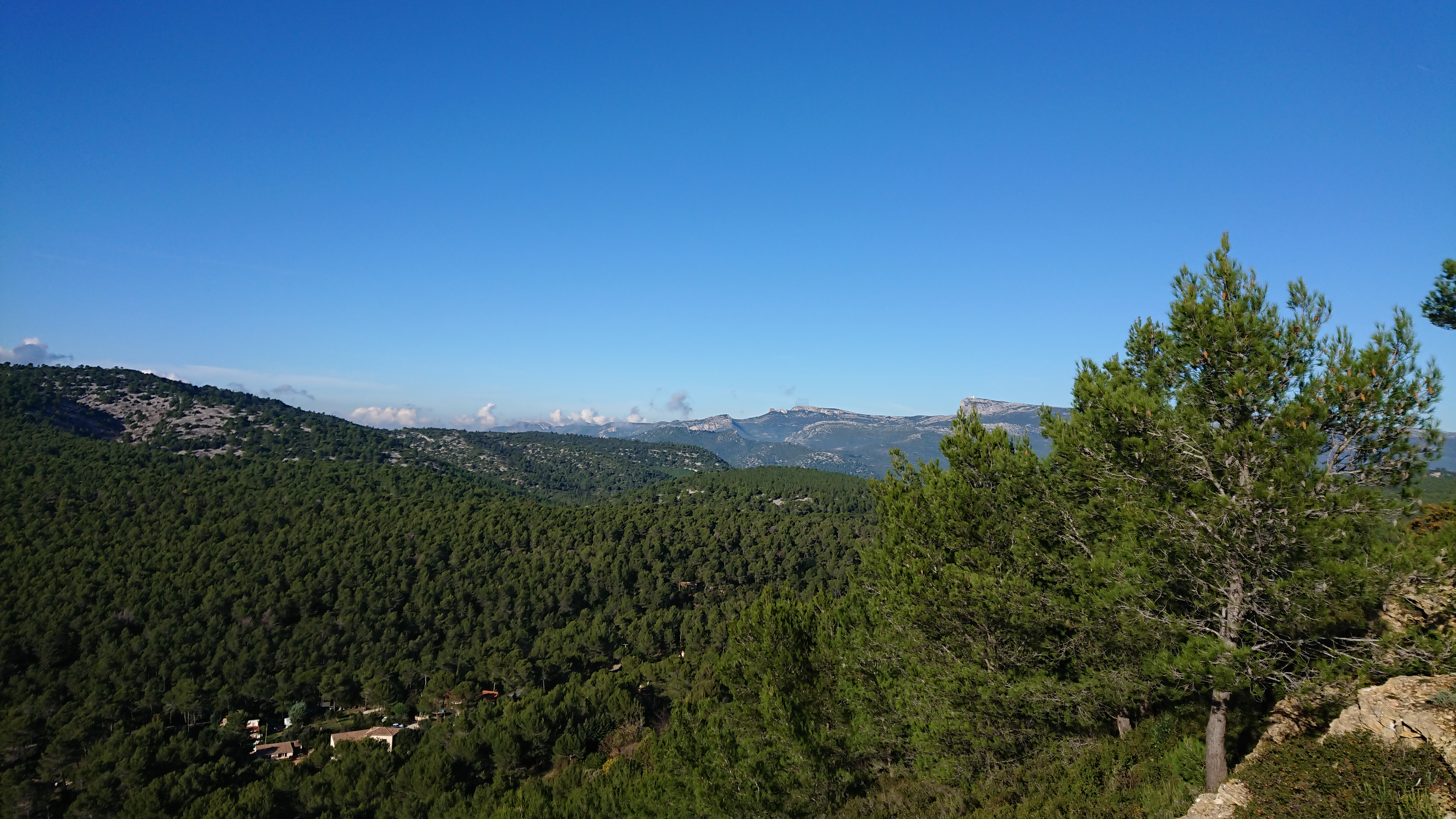 Forêt de Fontblanche, Ceyreste - photo 7