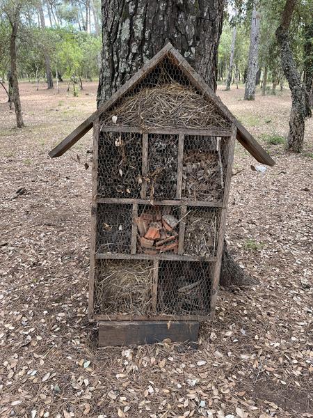 Sentier botanique de l'arboretum de Pierrefeu du Var