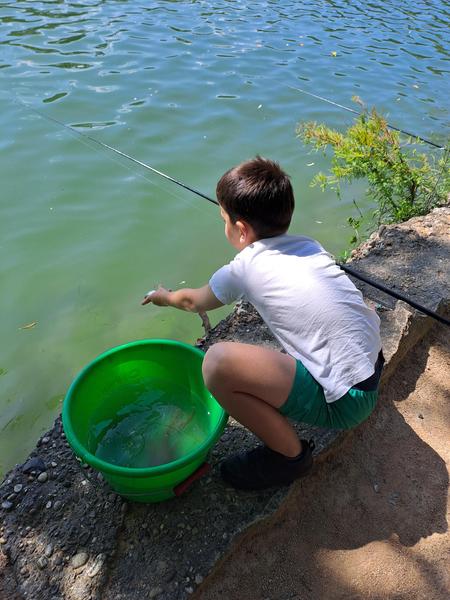 Apprendre à pêcher en famille_Parc de la tête d'Or