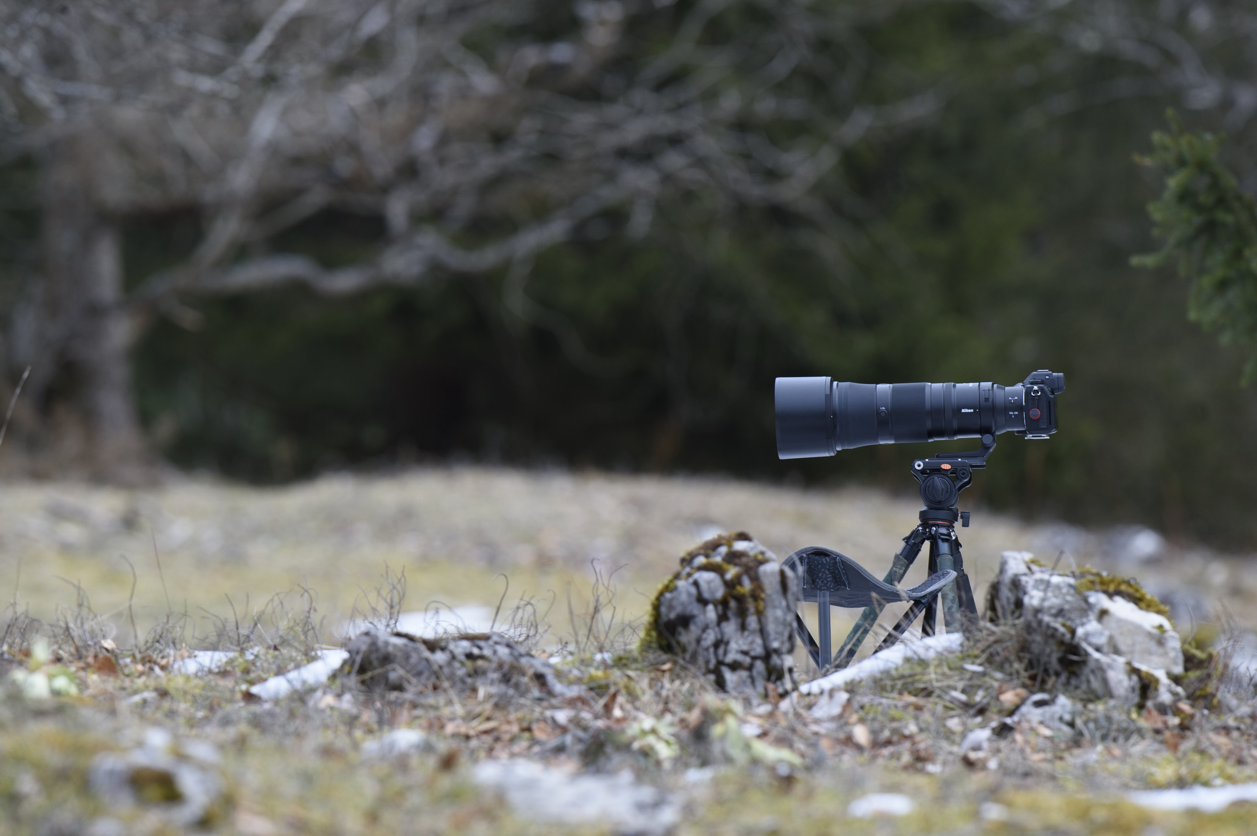 Stage photos | Nature