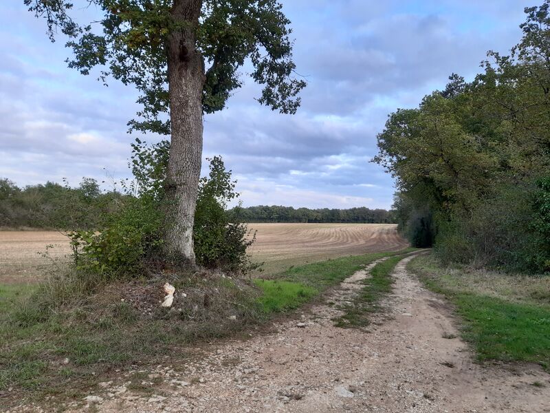 Circuit VTT famille N°8 de Bouëx
