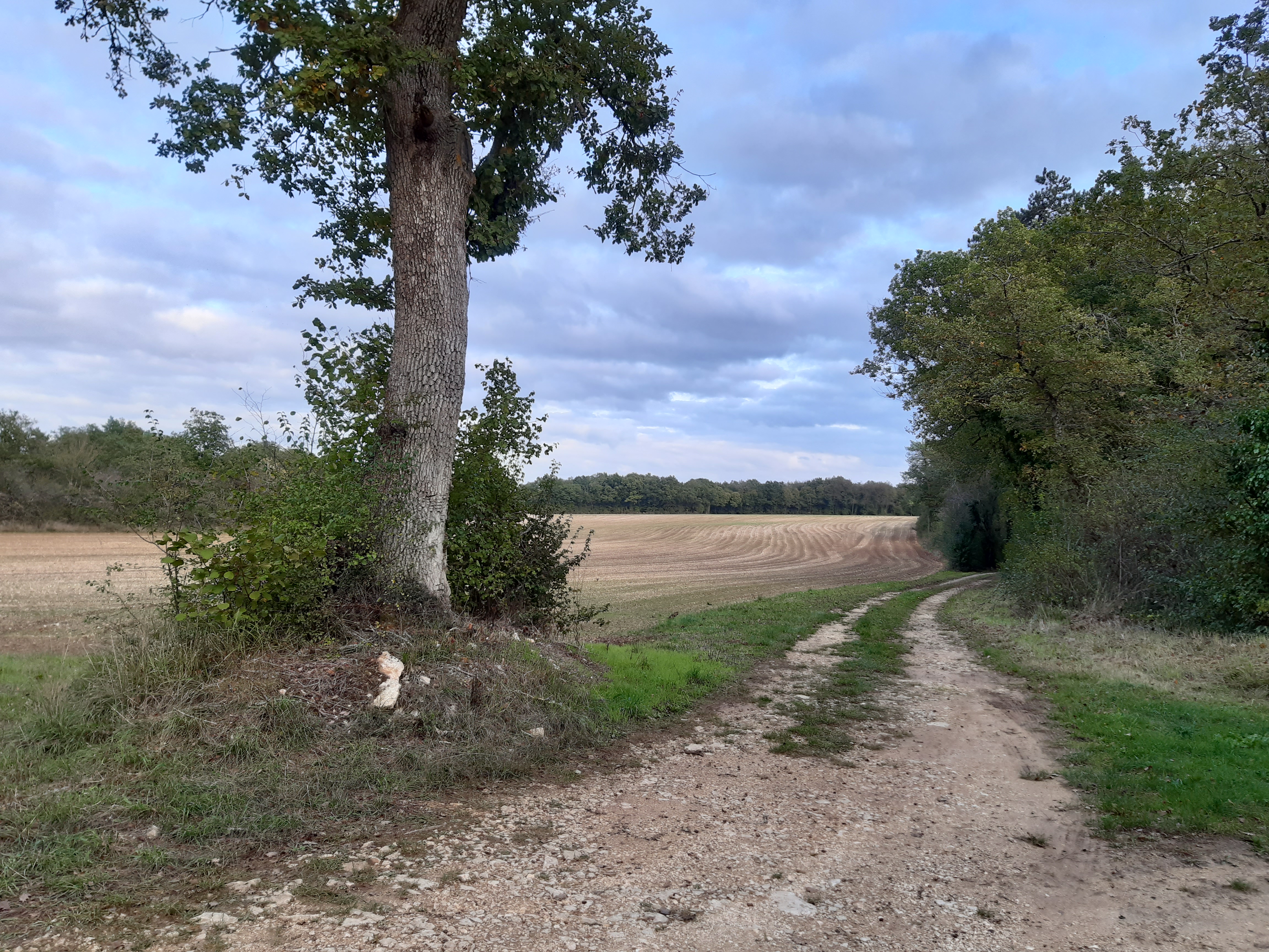 Circuit VTT famille N°8 de Bouëx