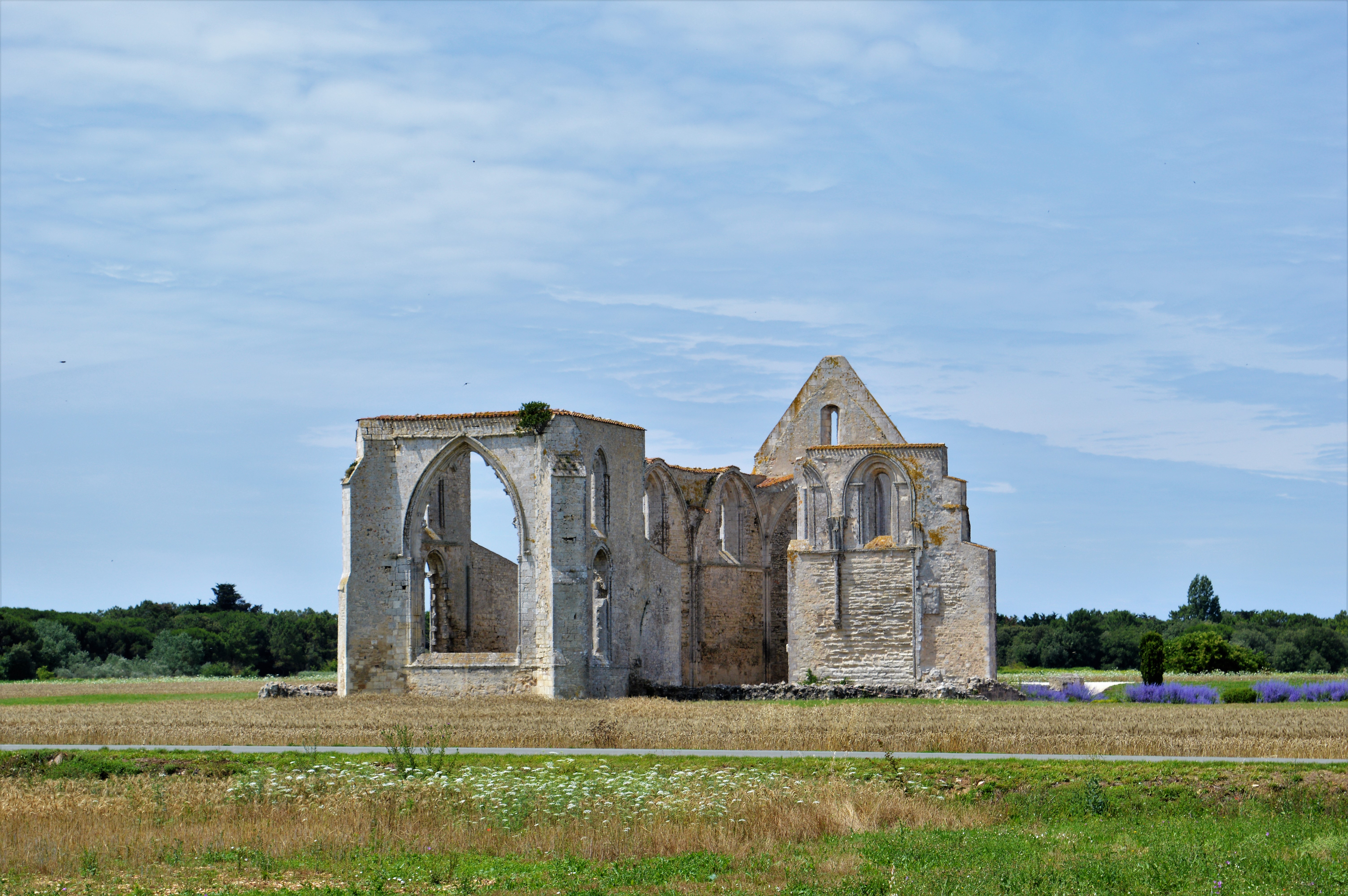 Visite guidée à vélo - Voyage historique au cœur de l'Île de Ré par J&M EVASION