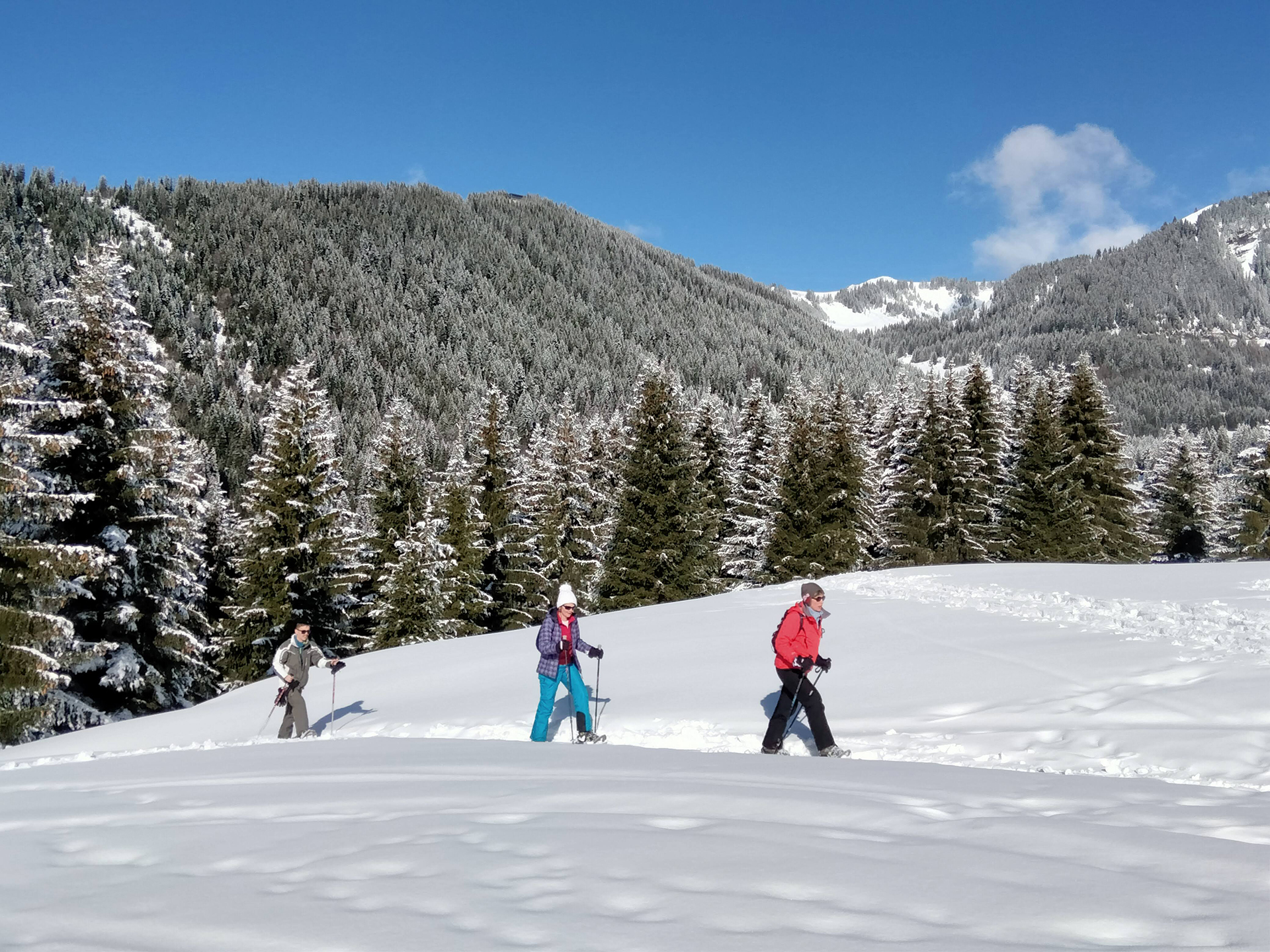 Sneeuwschoenwandelen in de zon