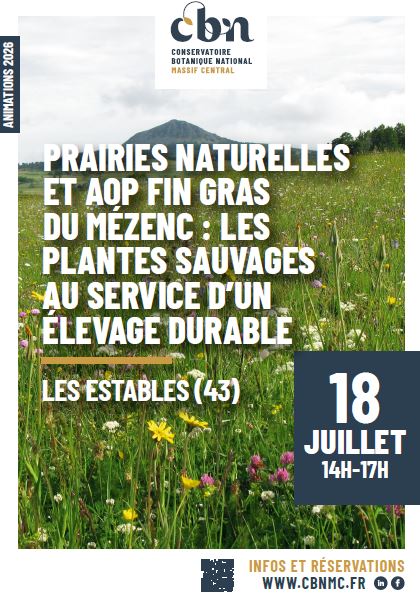 Prairies naturelles et AOP Fin Gras du Mézenc