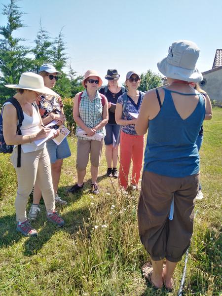 Balade botanique et atelier avec La magie des plantes_Tournon-sur-Rhône