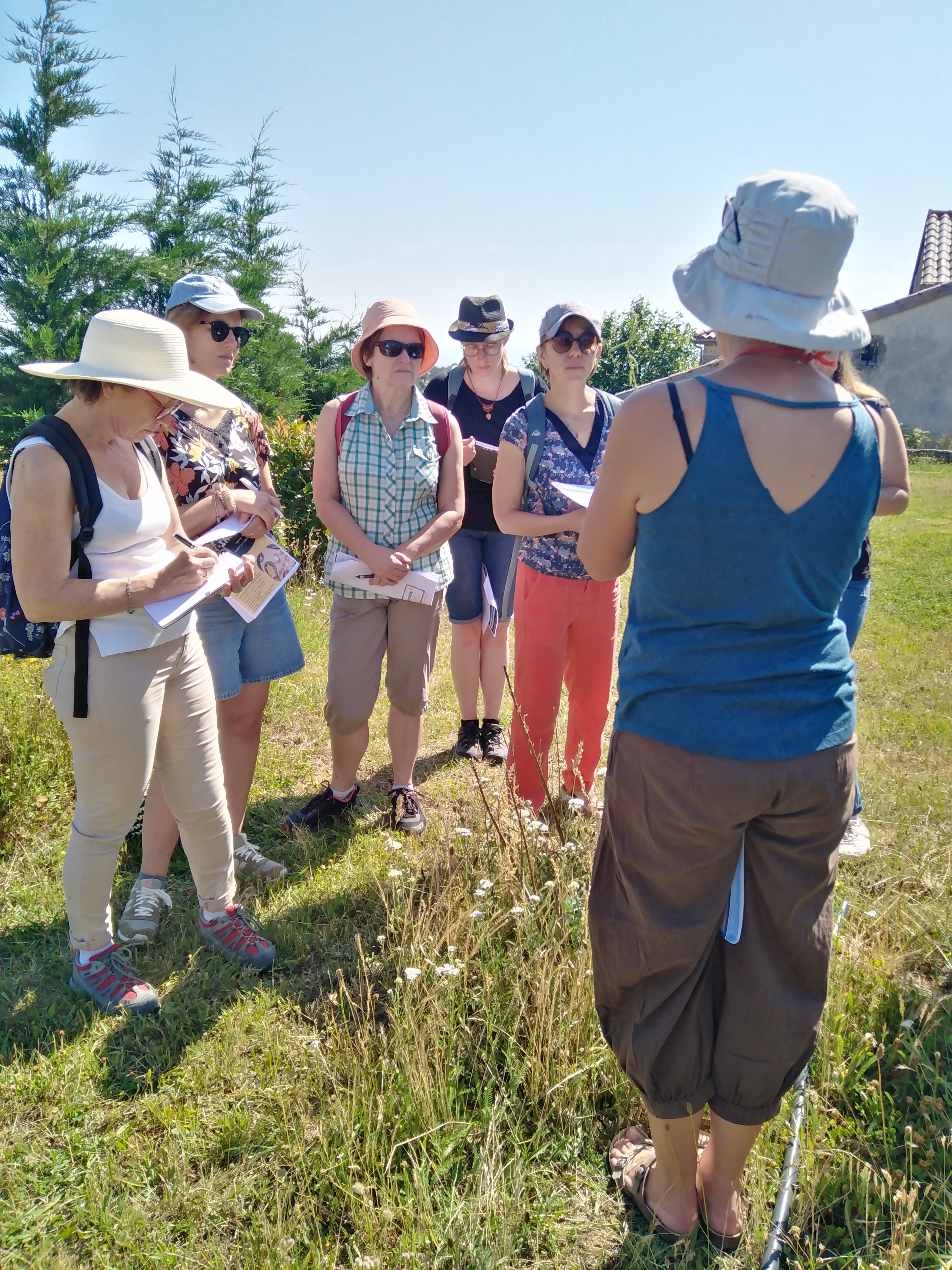 Balade botanique et atelier avec La magie des plantes_Tournon-sur-Rhône