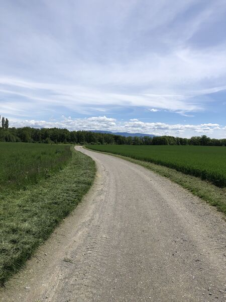 Entre les champs, paisible avec avec un jolie paysage