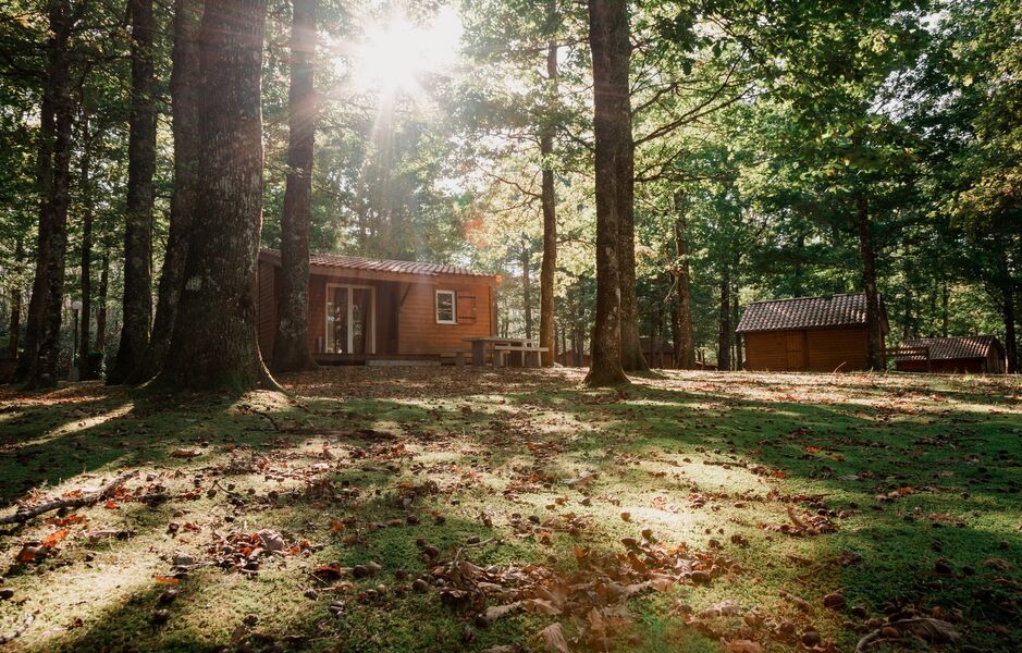 Chalets de la Bessière chalet bois en forêt