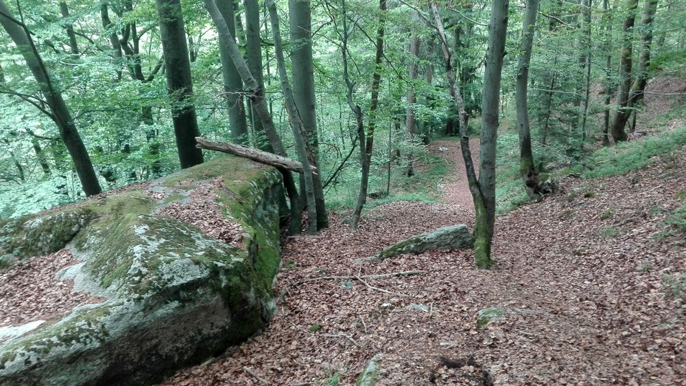 Sentier des Gures