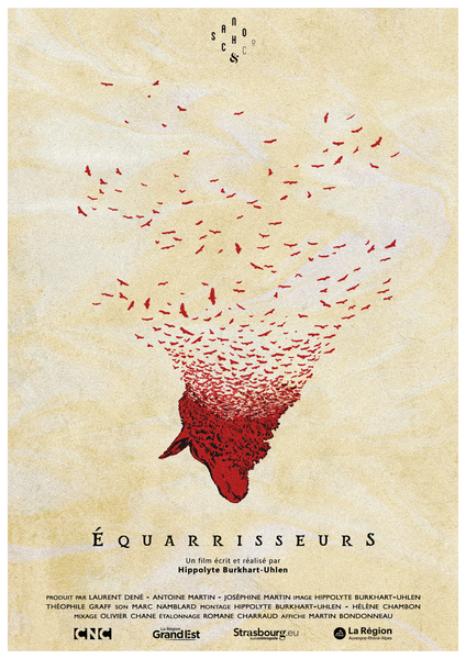 Affiche du film Equarisseur