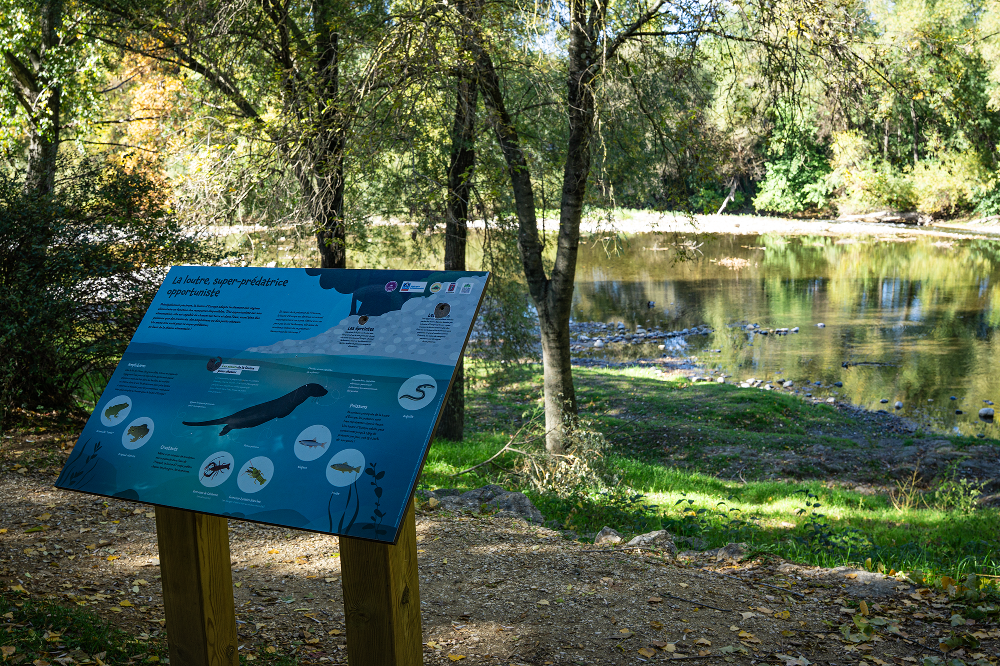 Sentier d'interprétation de la loutre_Saint-Bauzille-de-Putois