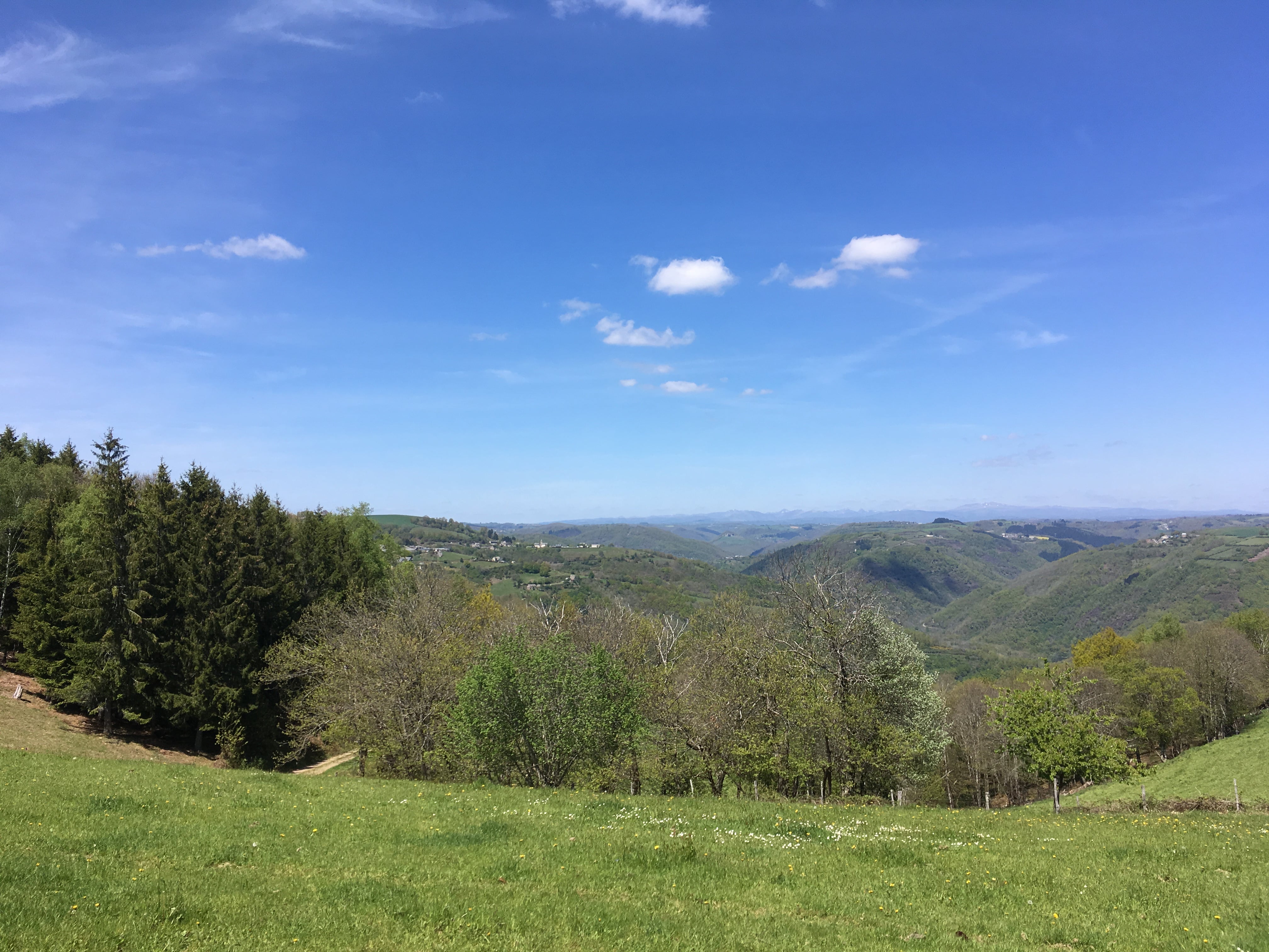 Rando pédestre - Montsalvy Riols