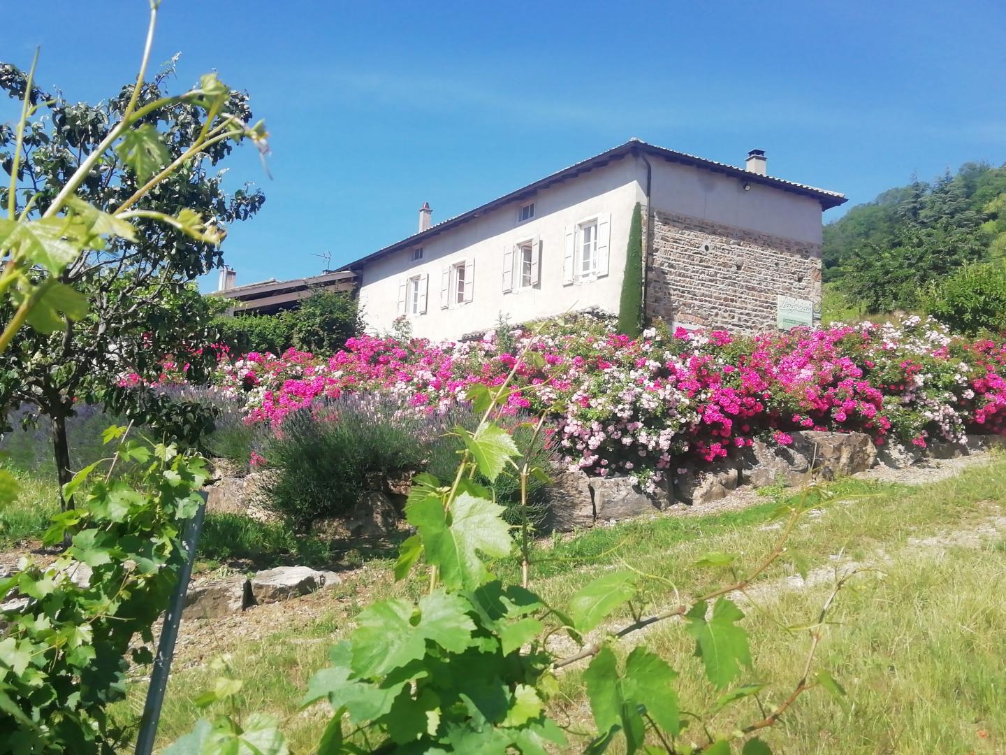 Chambres d'Hôtes 'Domaine Lagneau' à Quincié-en-Beaujolais (Rhône, Beaujolais Vignobles).