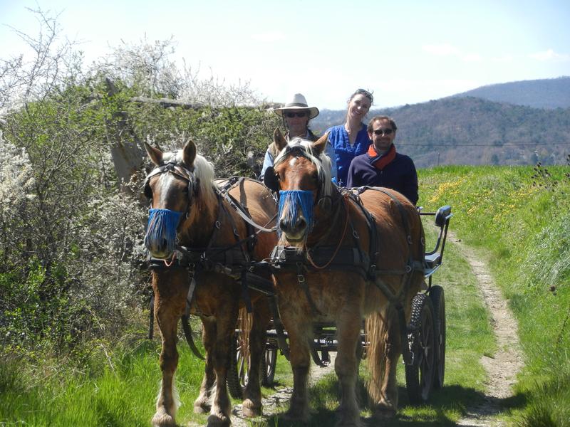 Promenade en caleche