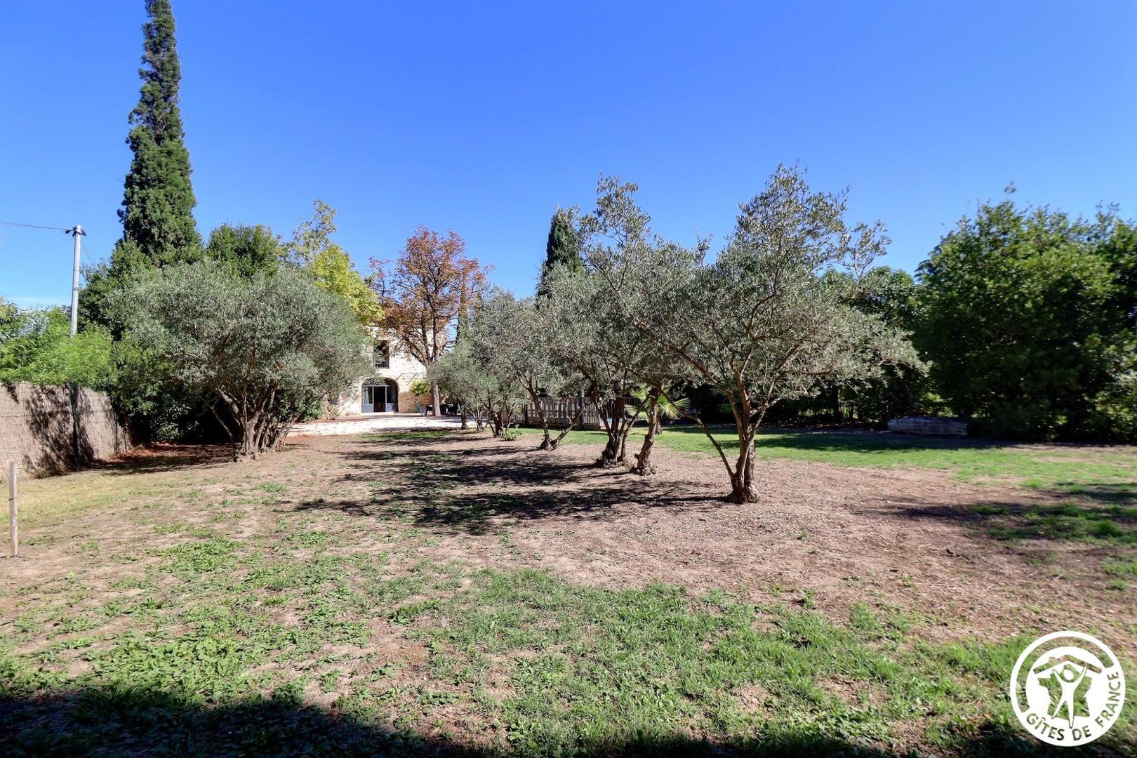 Mas des Lilas - Chez Coba, Graveson - photo 14