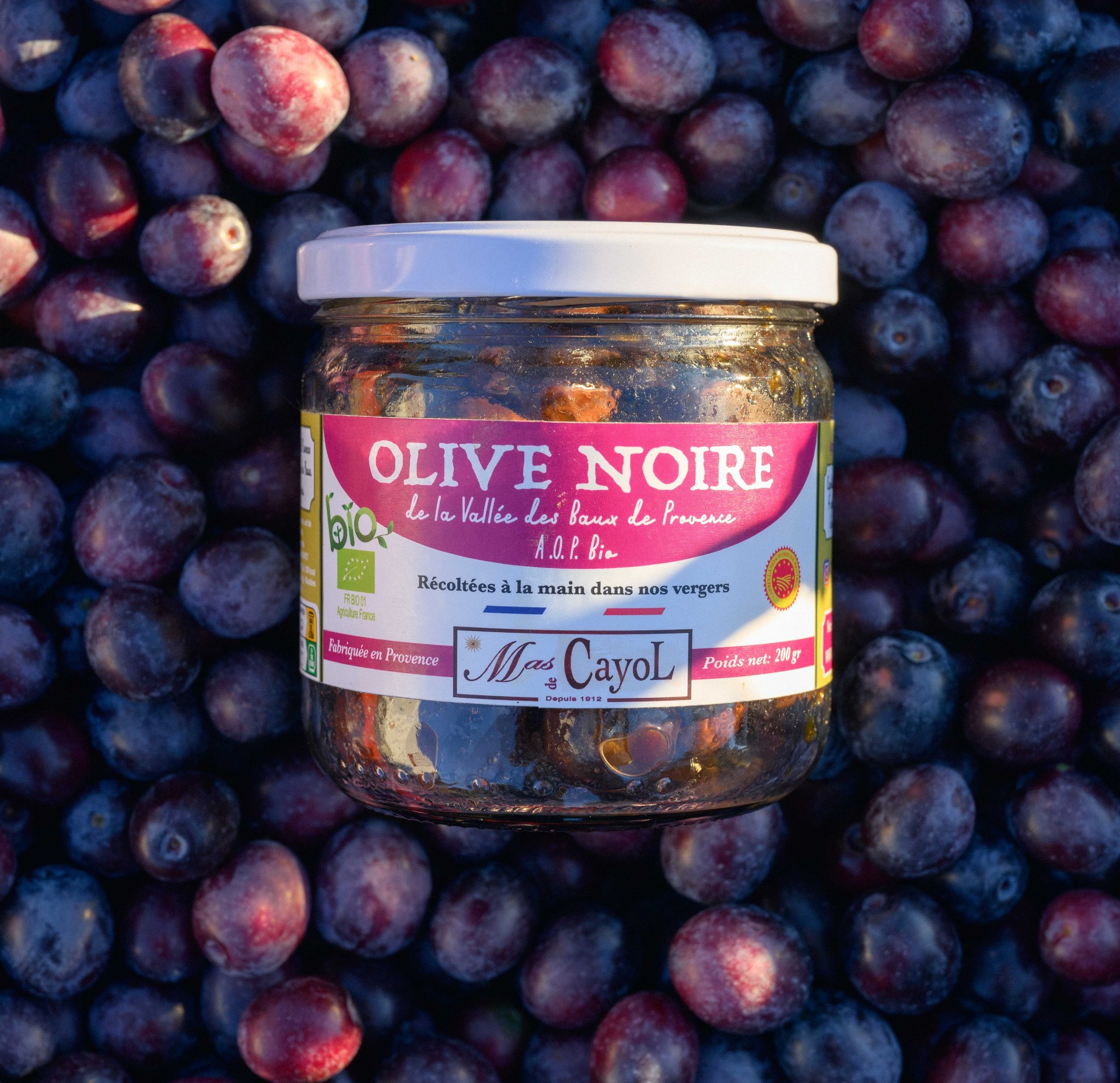 Mas de cayol - photo 2