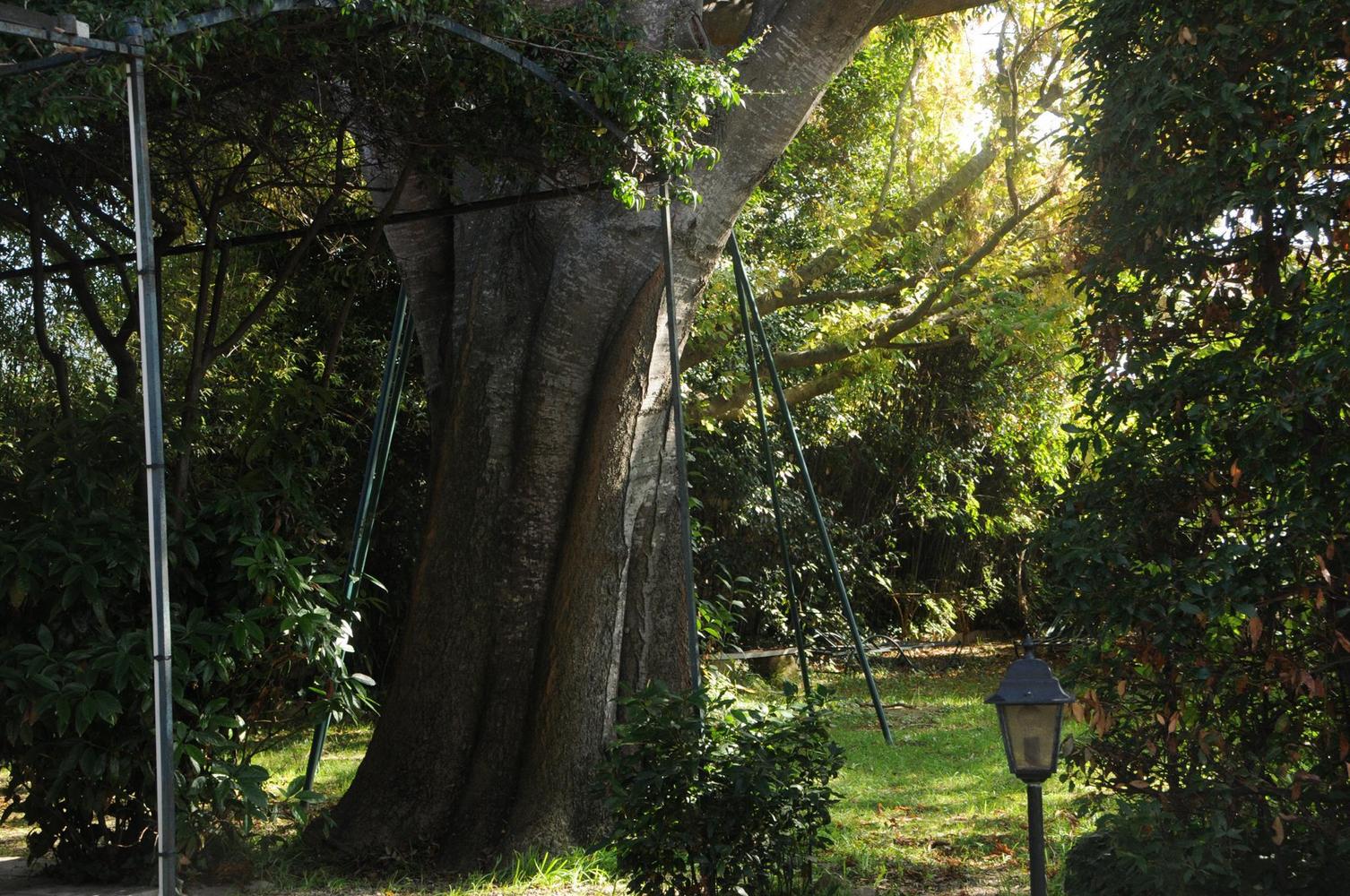 Design, Eyguières - photo 7