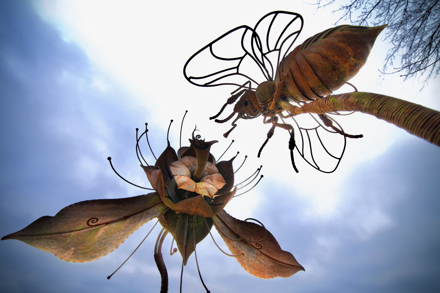 photosFeed-https://static.apidae-tourisme.com/filestore/objets-touristiques/images/60/35/42279740.jpg