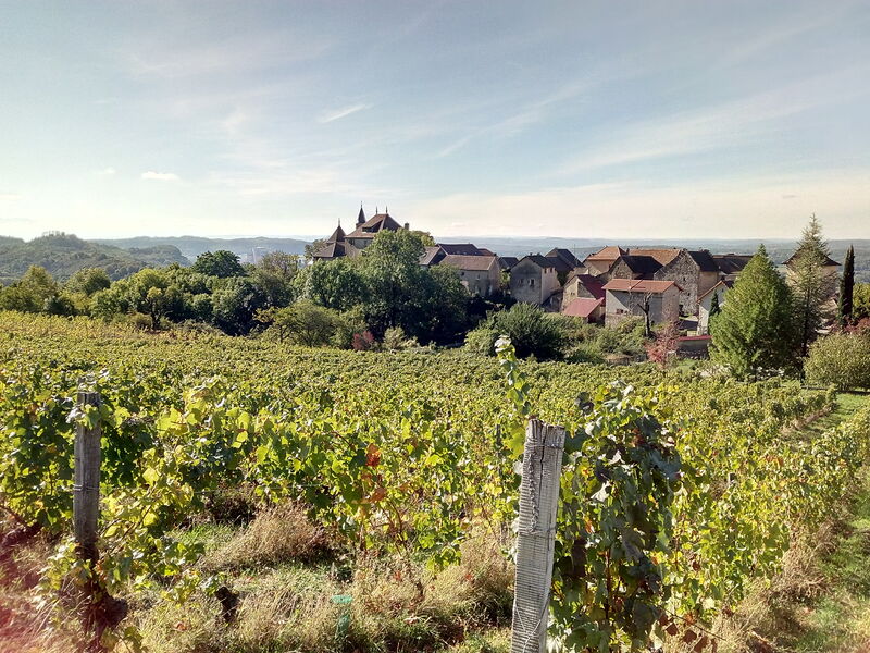 Vignoble du domaine et vue sur le village