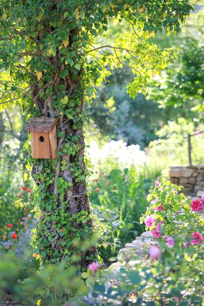 Jardin de l\'abbaye de Valsaintes