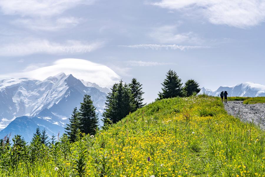 Mont Joux en passant par la Crête du Mont d'Arbois