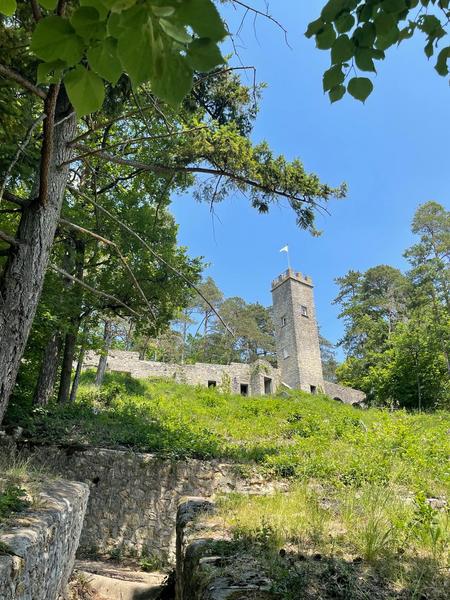 Visites impromptues - Auberge de jeunesse de l