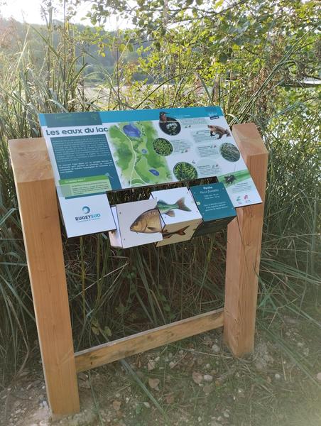 Sentier d'interprétation du lac de Virieu le Grand_Virieu-le-Grand