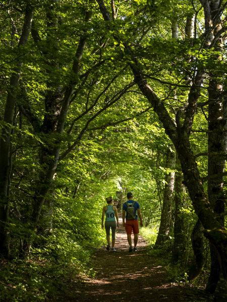 Boucle du Mont Rachais