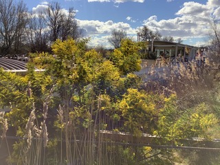 Les navettes du pont Van Gogh