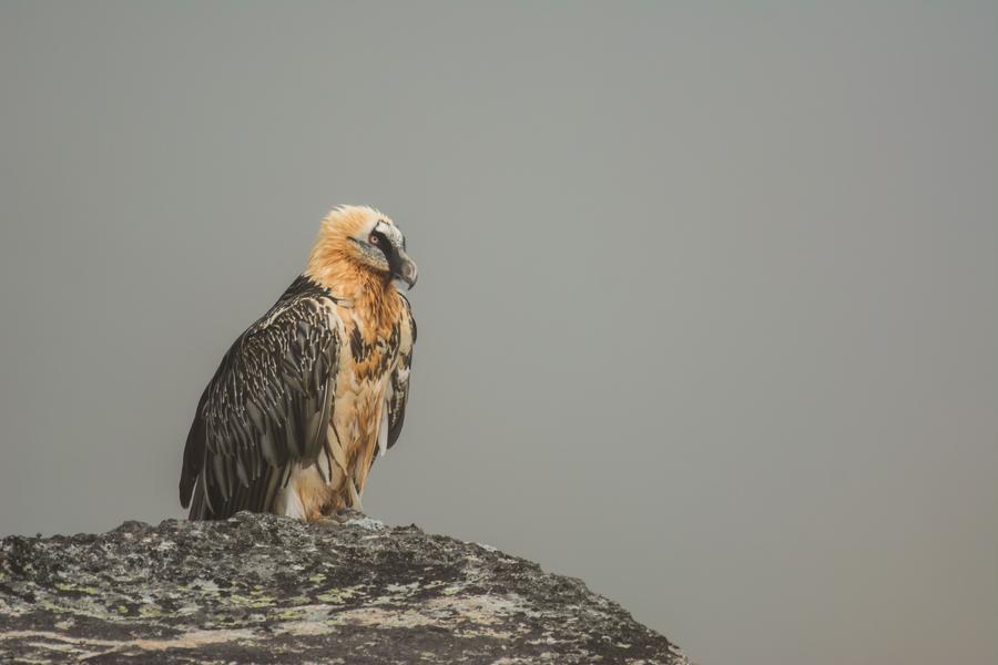 Parc national de la Vanoise_Val-Cenis