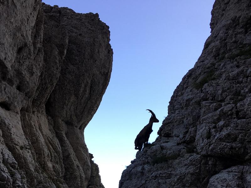 Ascension du Mont Aiguille avec le Bureau des Guides Diois-Vercors_Romeyer