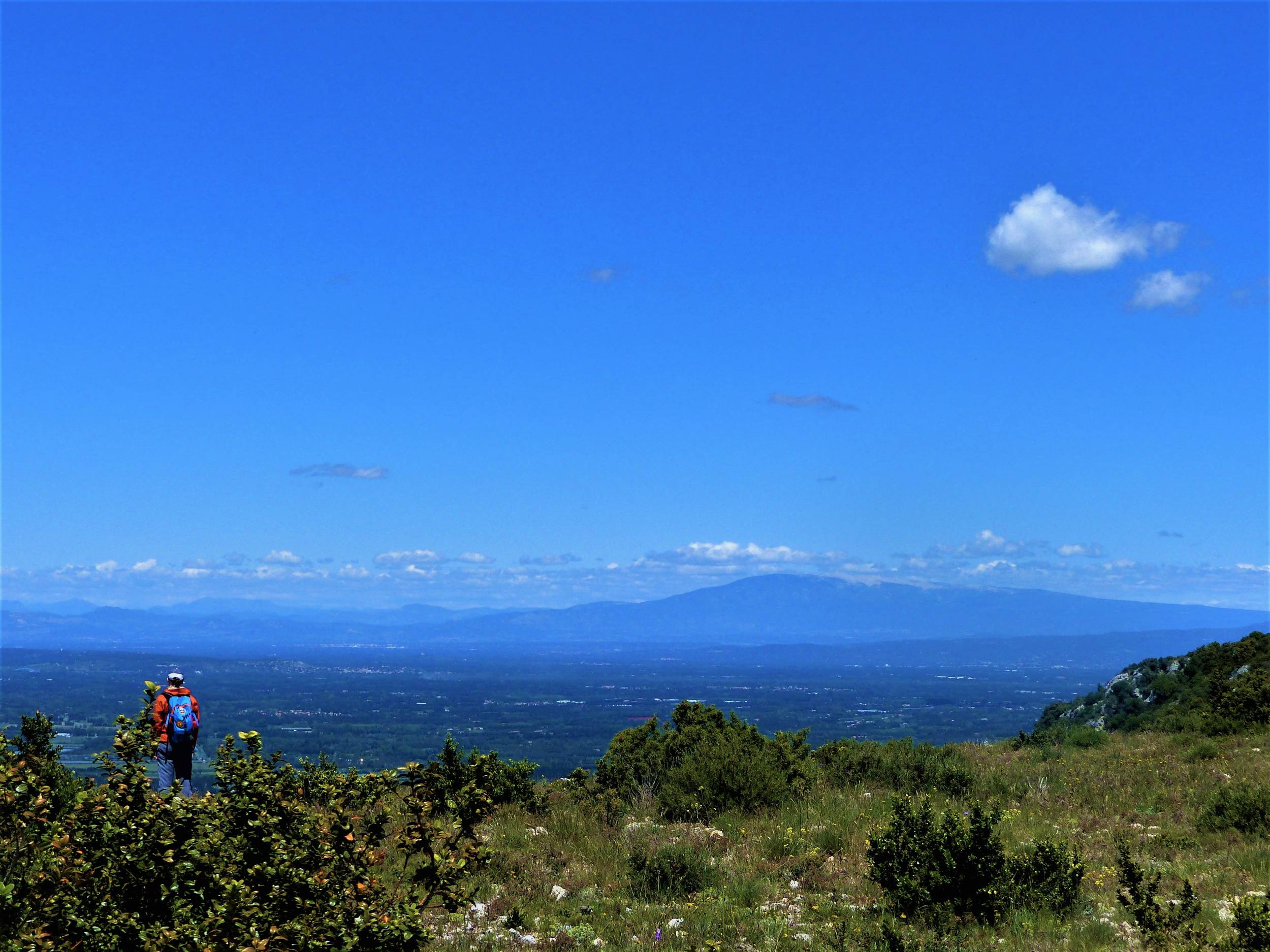 SAINT-RÉMY-DE-PROVENCE - Entre vallon et plateau — photo 2