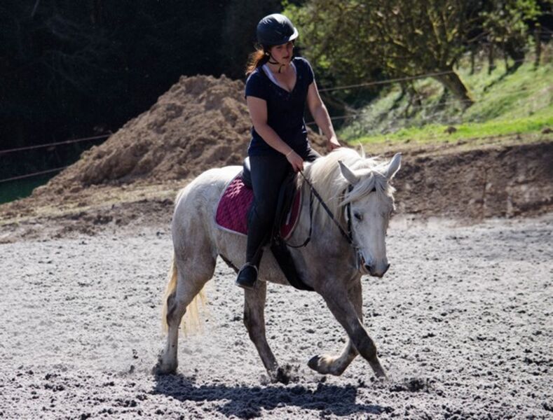 Ferme équestre du Rousset