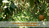 La Révolution par l'orange