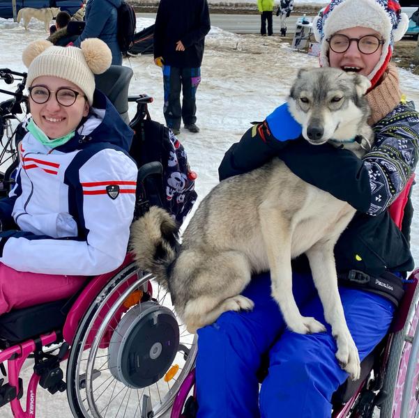activites-chiens-de-traineau