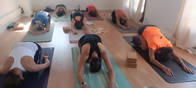Là yoga studio — photo 3