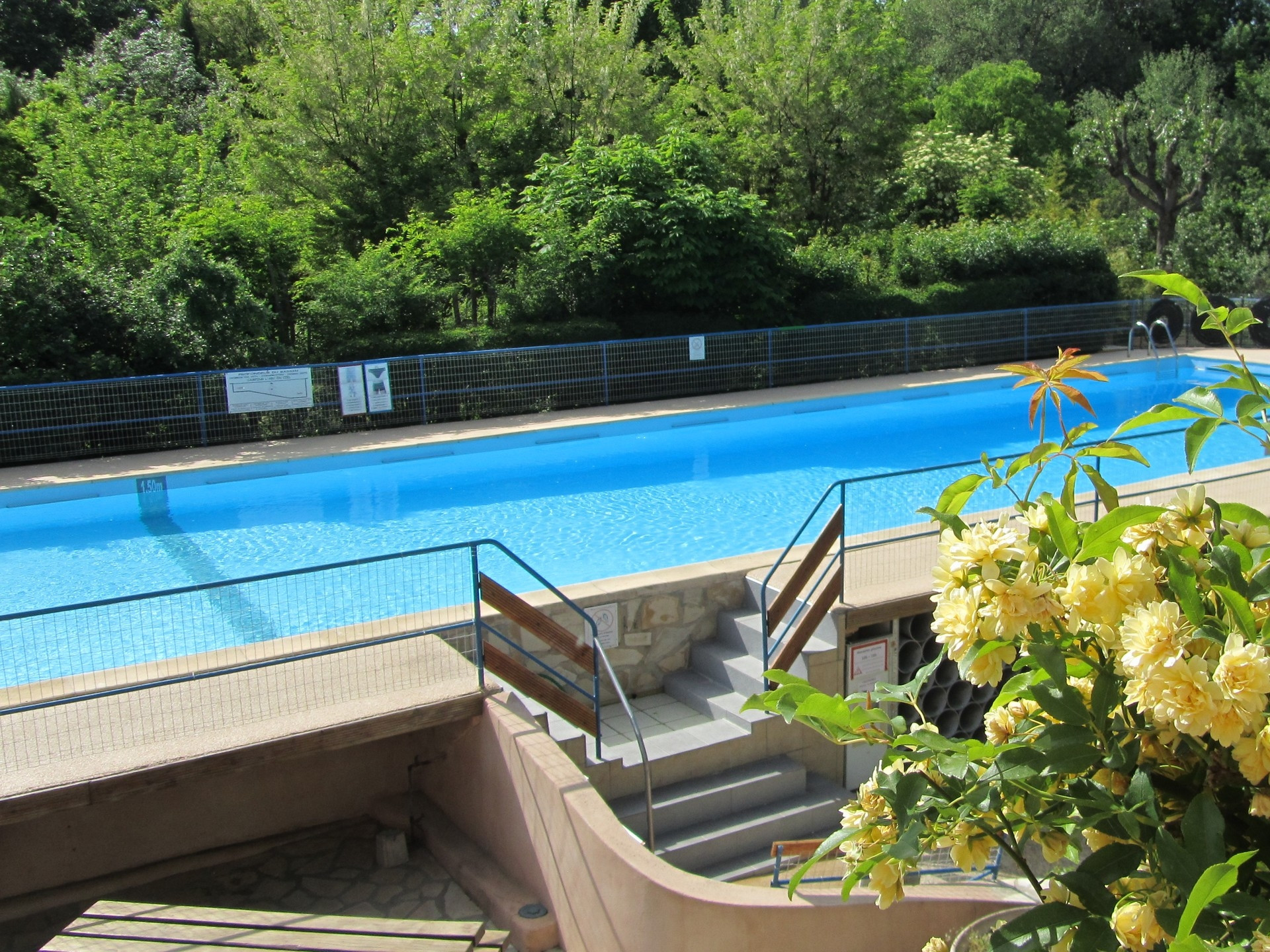 Arc-en-Ciel - photo 4