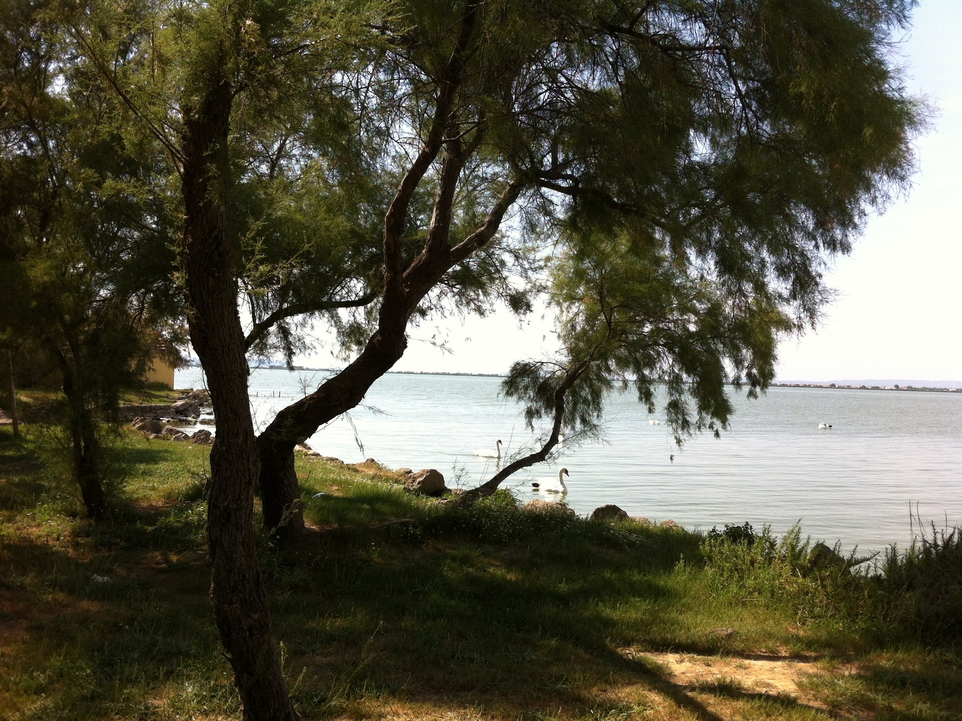 Village des Pêcheurs — photo 2