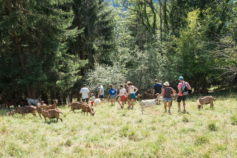 Le Clos aux chèvres