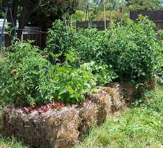 LE POTAGER DE LA BOTTE