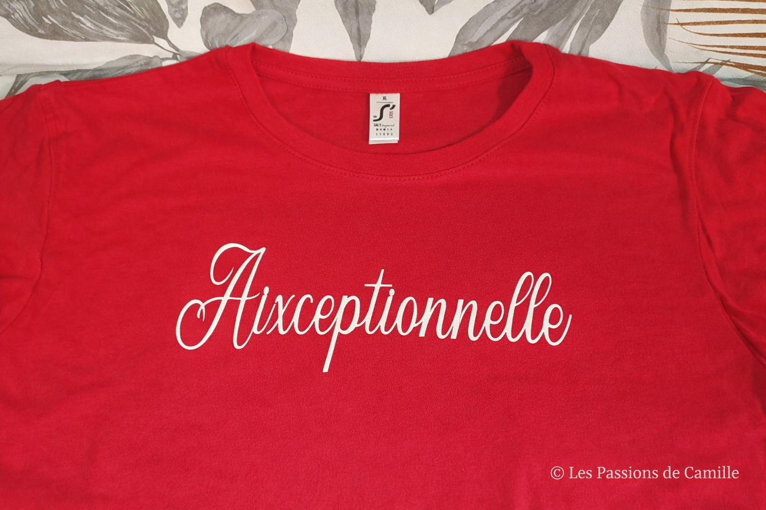 Les Passions de Camille