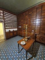 Le jeu des tiroirs de plantes_Charlieu