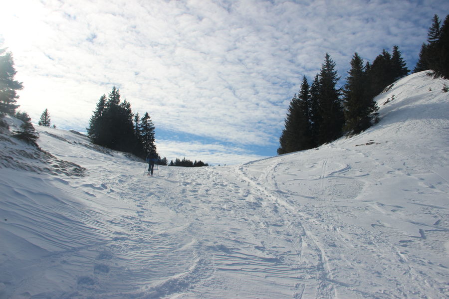 Tour de la Dôle